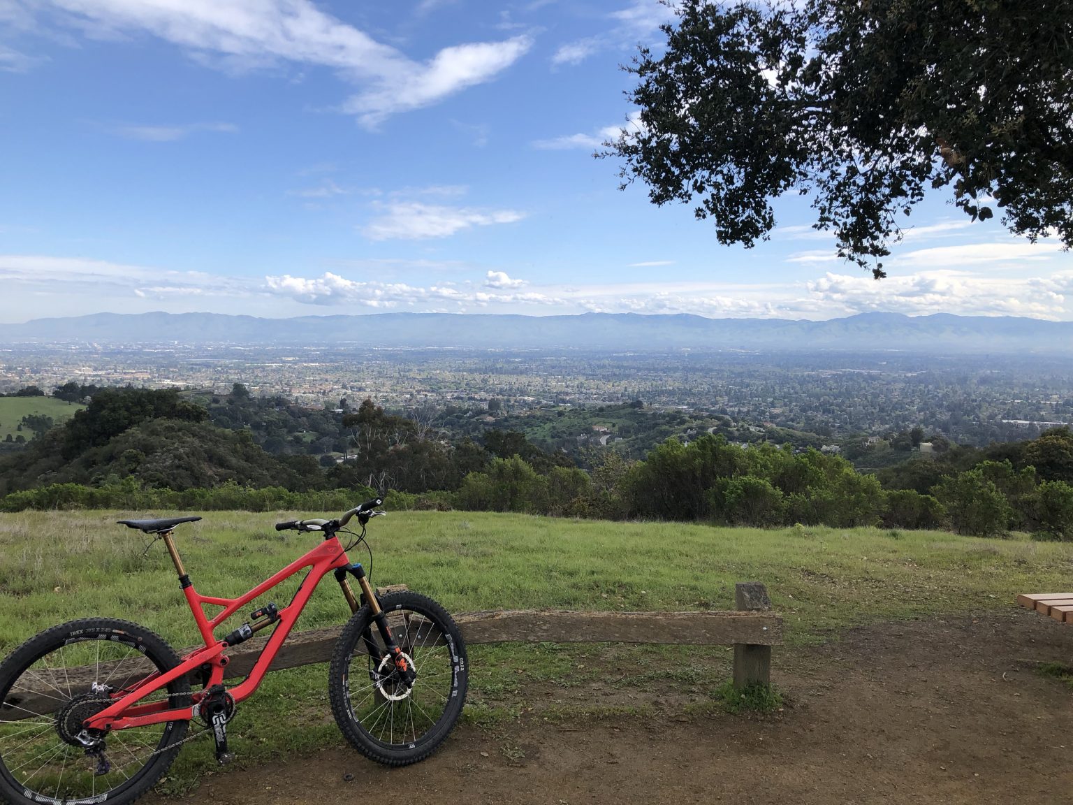 Wandering / Wondering